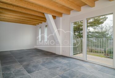 Magnifique triplex avec terrasse !