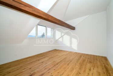 Magnifique triplex avec terrasse !