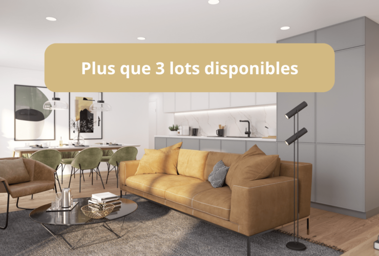 IMMEUBLE MINERGIE ! Chantier ouvert