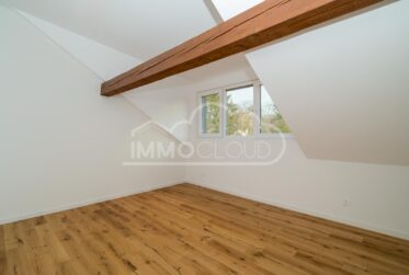 Magnifique triplex avec terrasse !