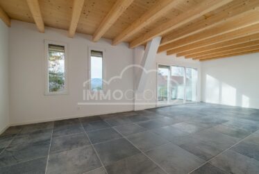 Magnifique triplex avec terrasse !