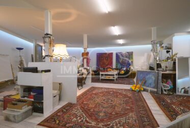 Loft au style industriel !