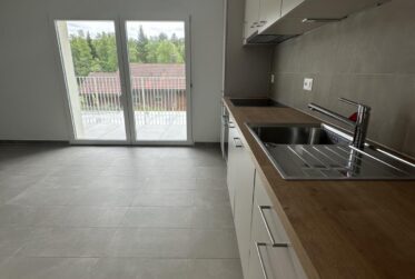 Idéal pour investisseur !