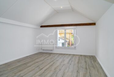 Charmante maison individuelle rénovée en 2025 !