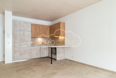 Orientation parfaite avec loggia !