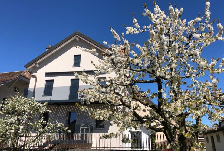Maison individuelle de deux appartements !