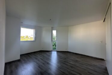 4.5 pièces à St-Sulpice avec grande terrasse et vue sur le lac !