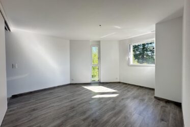 4.5 pièces à St-Sulpice avec grande terrasse et vue sur le lac !