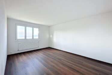 Superbe chalet avec vue panoramique sur le lac et les montagnes !