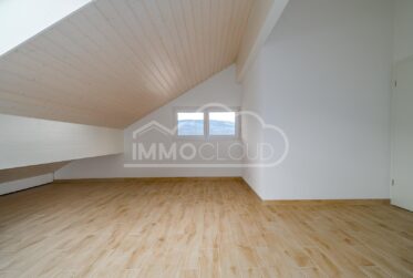 Espace et lumière pour cet appartement en duplex !
