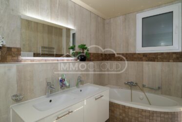 Le standing avec vue lac !