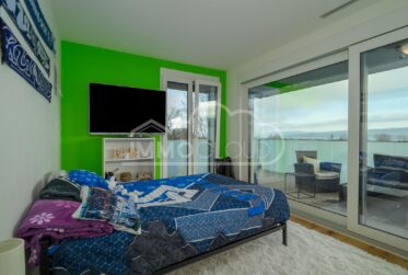 Le standing avec vue lac !