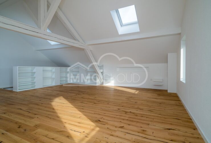 DERNIER LOT DISPONIBLE !