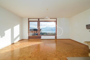 Vue lac Imprenable !