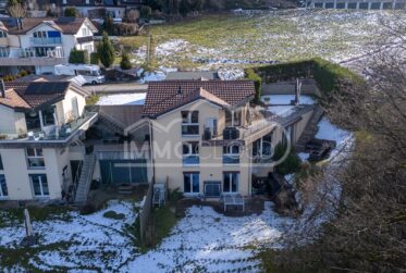 Villa contemporaine avec jardin et vue forêt