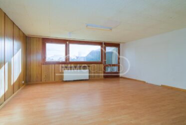 Vue lac Imprenable !