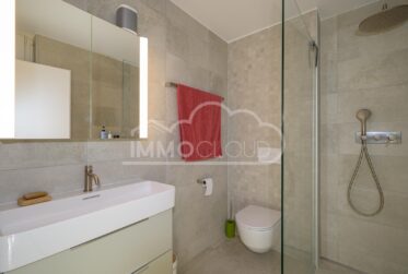 Magnifique 3,5 pièces avec grande terrasse et luminosité optimale