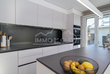 Magnifique 3,5 pièces avec grande terrasse et luminosité optimale