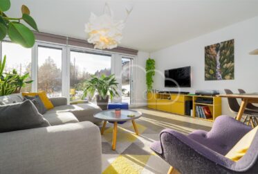 Magnifique 3,5 pièces avec grande terrasse et luminosité optimale