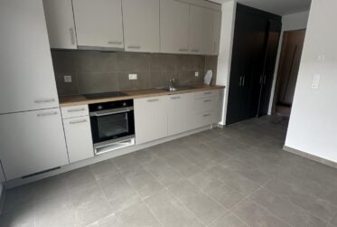 Idéal pour investisseur !