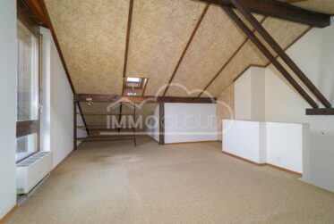 Vue lac Imprenable !