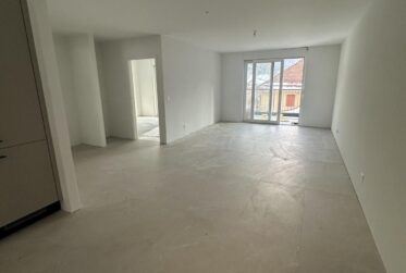 Dernier lot disponible !