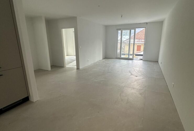 Dernier lot disponible !