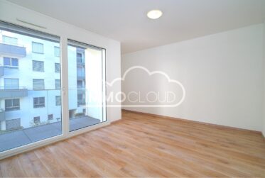 A quelques pas du lac et proche du centre !