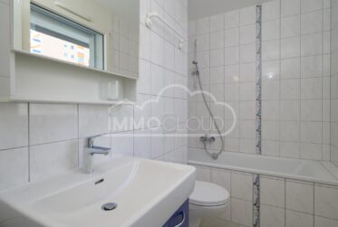 A quelques pas du lac et proche du centre !