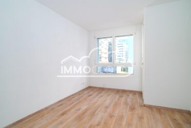 A quelques pas du lac et proche du centre !