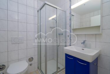 A quelques pas du lac et proche du centre !