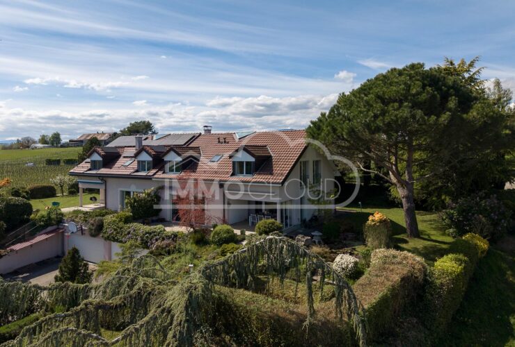 CHF 2'000.- offert sur les frais d'achat !