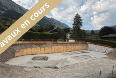 www.bluemoon-residence.ch