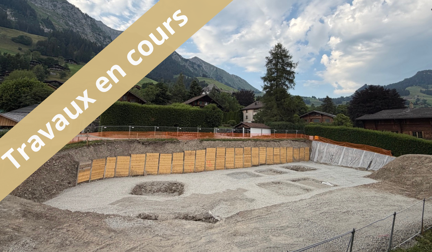 www.bluemoon-residence.ch