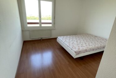 Spacieux appartement de 5,5 pièces