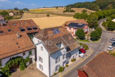 Duplex avec terrasse