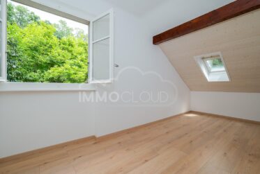 Lausanne : Villa individuelle !
