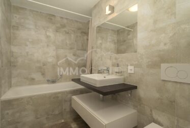 Duplex avec terrasse