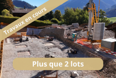 www.bluemoon-residence.ch